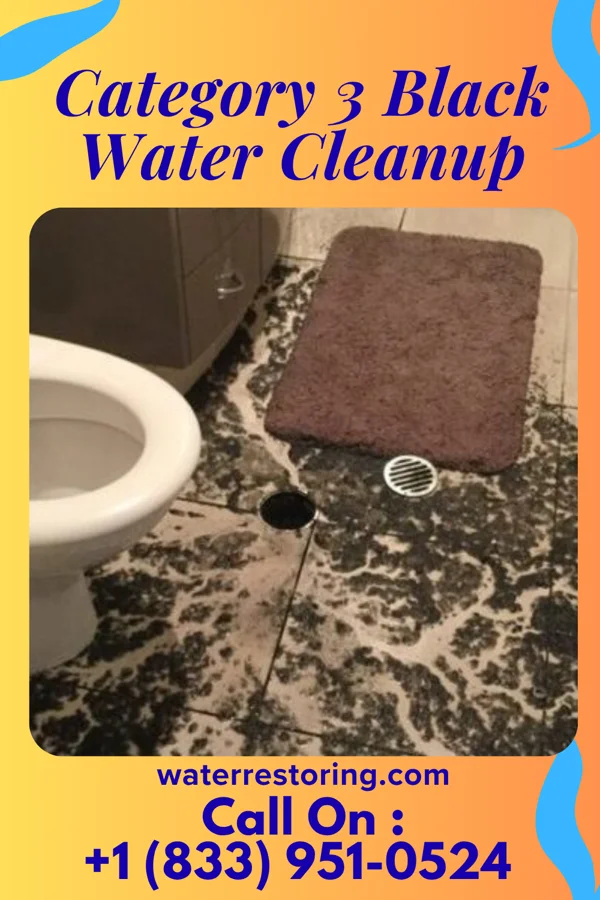 Category 3 Black Water Cleanup in Centerville, UT