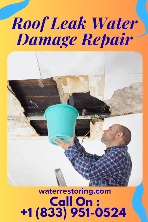 Roof Leak Water Damage Repair in Centerville, UT